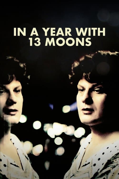 13 Ayla Bir Yılda izle