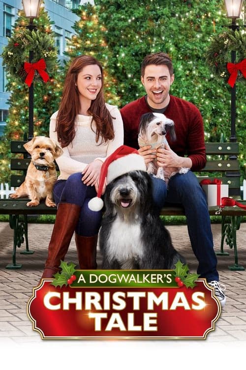 A Dogwalker's Christmas Tale izle