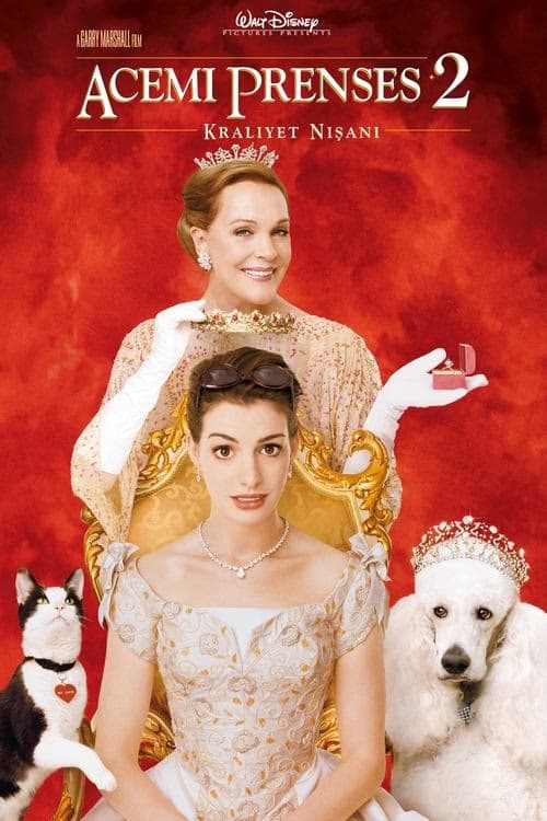 Acemi Prenses 2: Kraliyet Nişanı izle