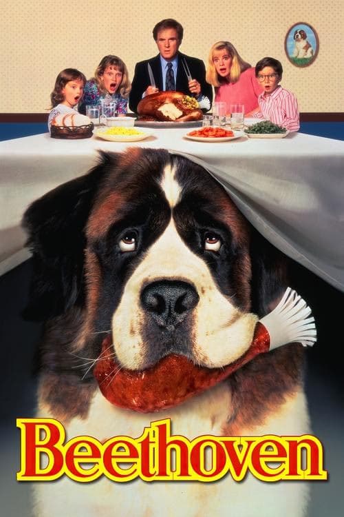 Afacan Köpek Beethoven izle