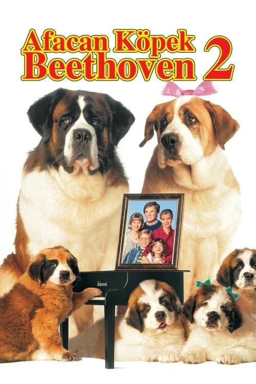 Afacan Köpek Beethoven 2 izle