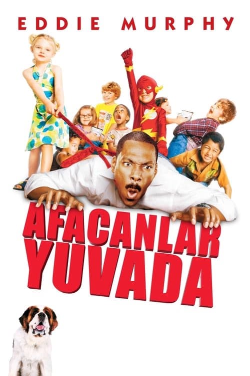 Afacanlar Yuvada izle