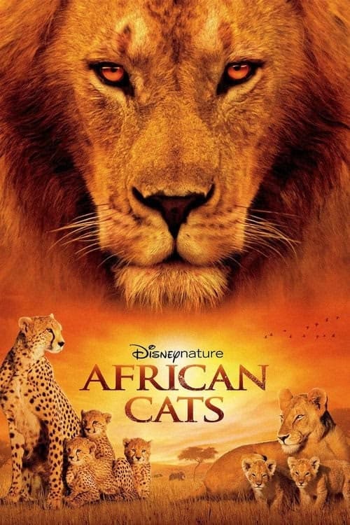 Afrika Kedileri izle