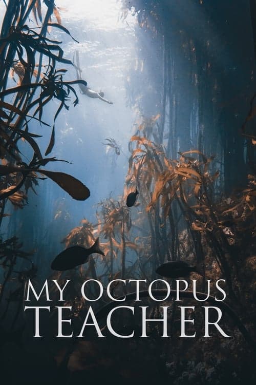 Ahtapottan Öğrendiklerim izle