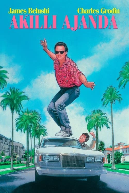 Akıllı Ajanda izle