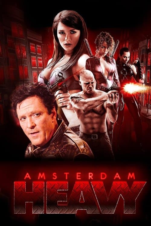 Amsterdam Baskını izle