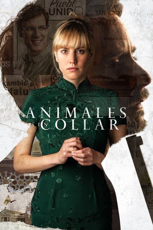 Animales sin collar izle