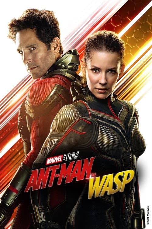 Ant-Man ve Wasp izle