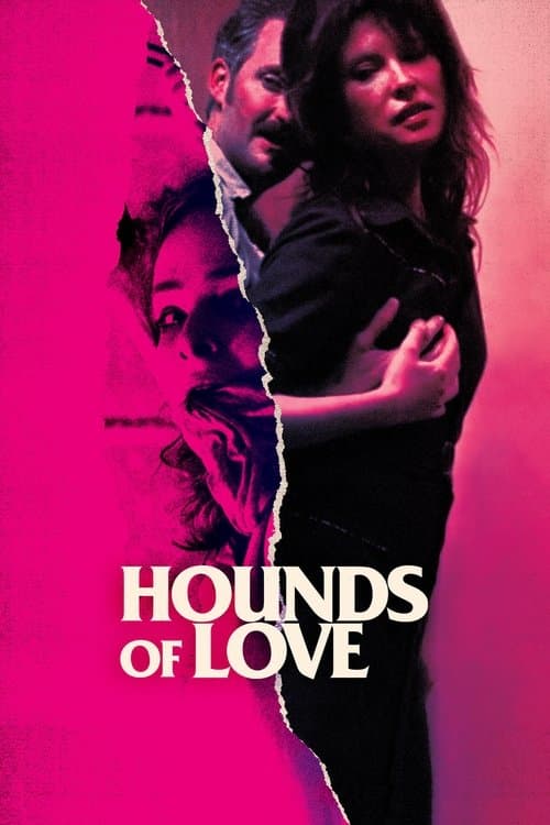 Av Köpekleri izle