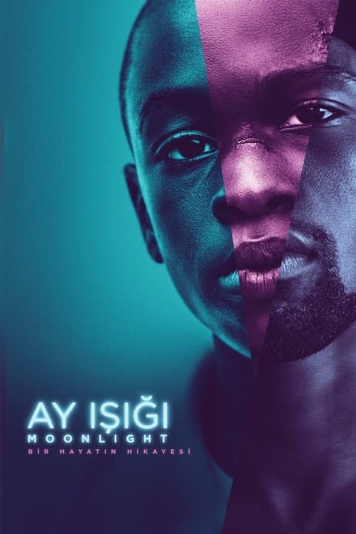 Ay Işığı izle