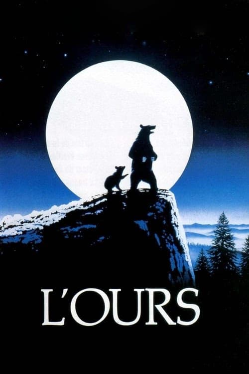 Ayı izle