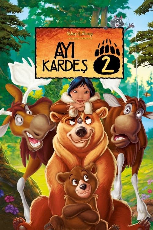 Ayı Kardeş 2 izle