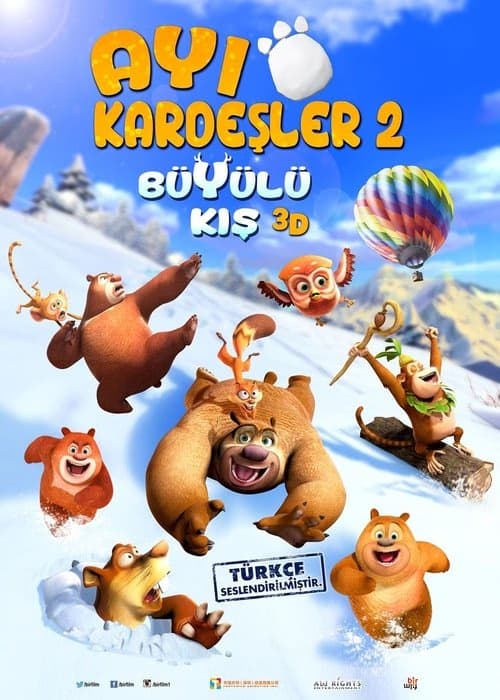 Ayı Kardeşler: Büyülü Kış izle