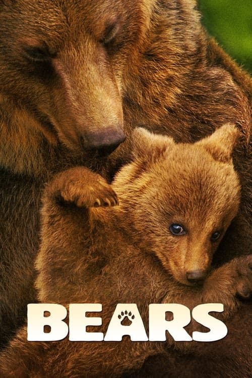 Ayılar izle
