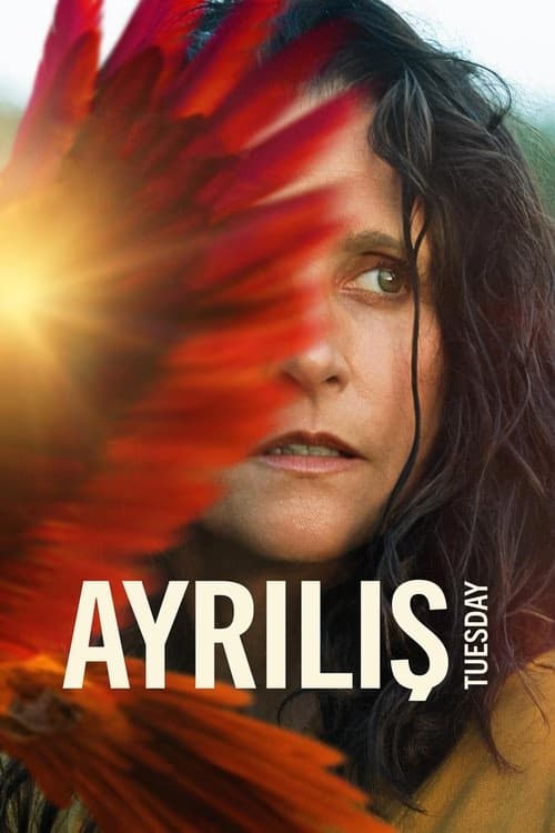 Ayrılış izle