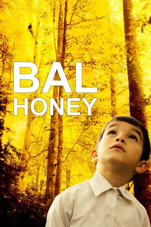 Bal izle