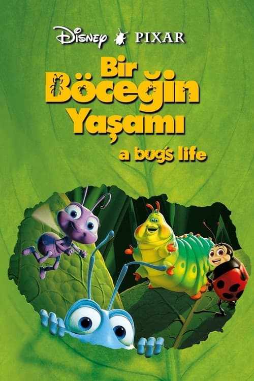 Bir Böceğin Yaşamı izle