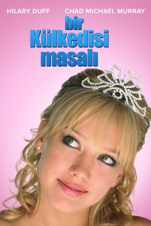 Bir Külkedisi Masalı izle