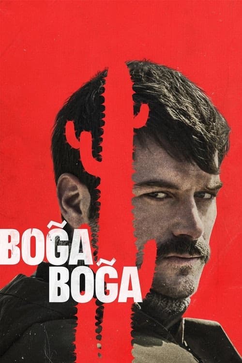 Boğa Boğa izle