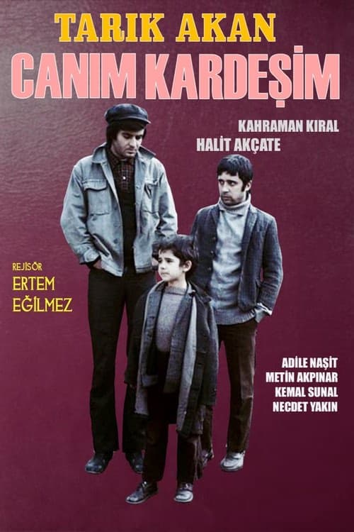 Canım Kardeşim izle