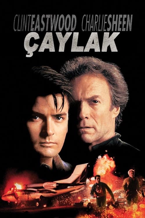 Çaylak izle