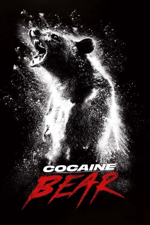 Çıldırmış Ayı izle