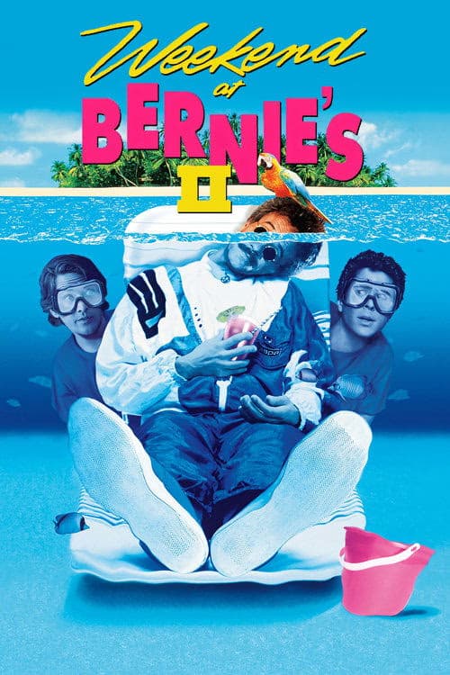 Çılgın Tatil 2 izle