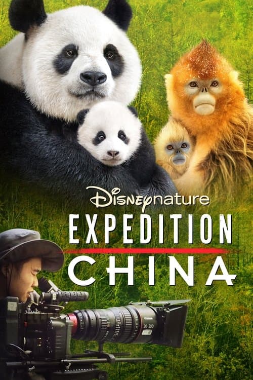 Çin Seferi izle