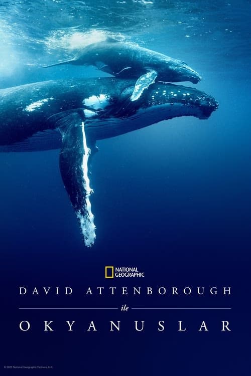 David Attenborough ile Okyanuslar izle