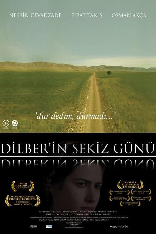 Dilber'in Sekiz Günü izle