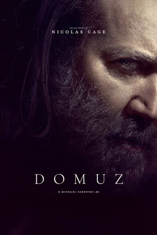 Domuz izle
