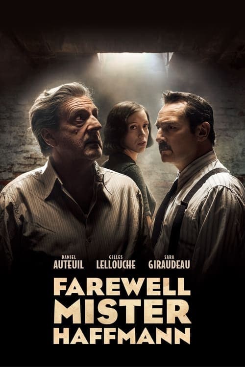 Elveda Bay Haffmann izle