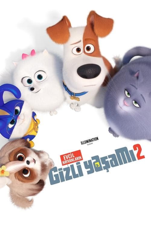 Evcil Hayvanların Gizli Yaşamı