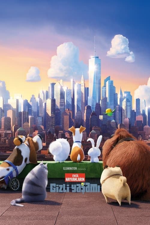 Evcil Hayvanların Gizli Yaşamı izle