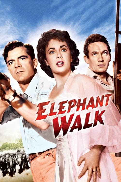 Filler Geçidi izle