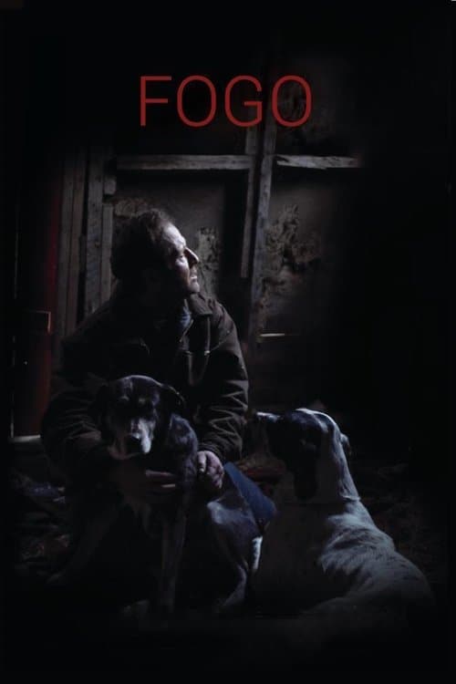 Fogo izle