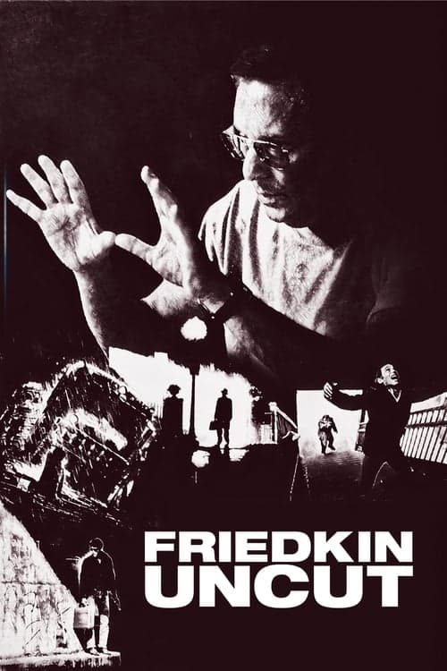 Friedkin Uncut izle