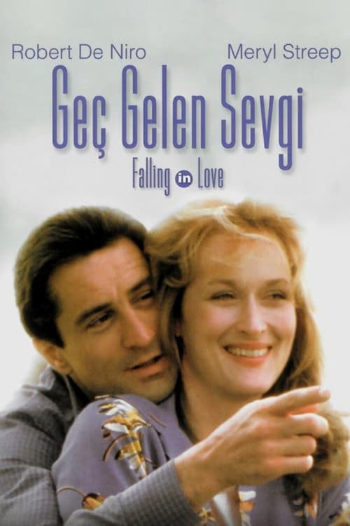 Geç Kalan Sevgi izle