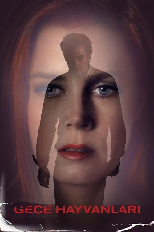 Gece Hayvanları izle