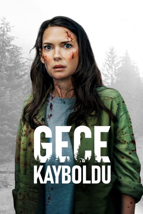 Gece Kayboldu izle