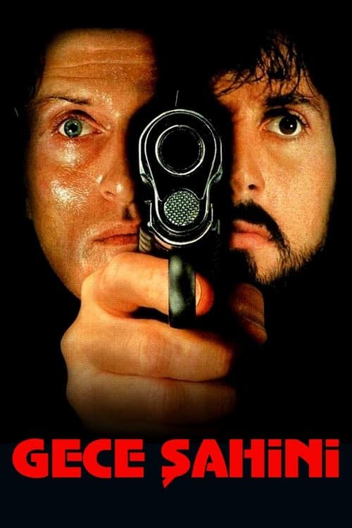 Gece Şahini izle