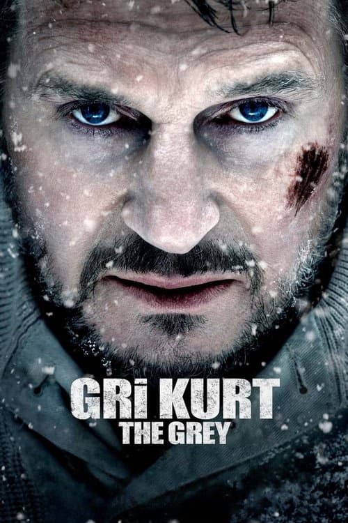 Gri Kurt izle