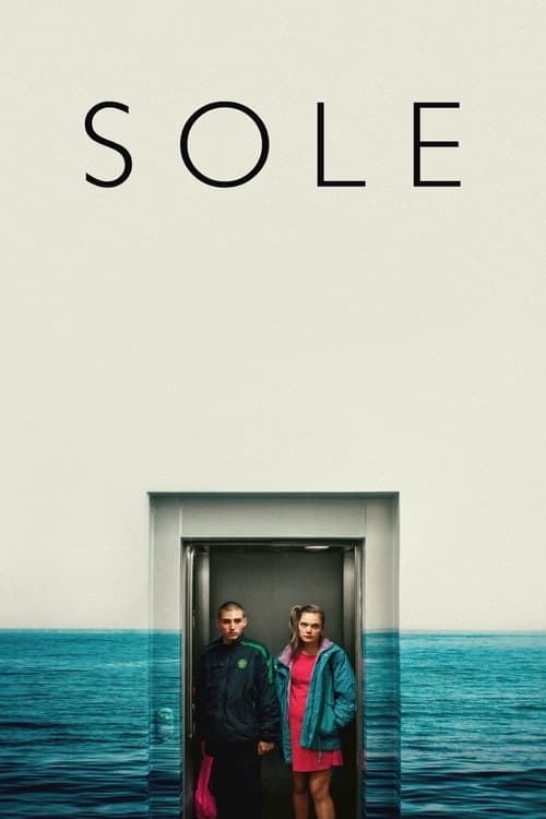 Güneş izle