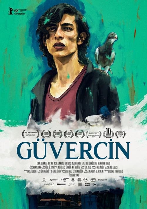 Güvercin izle
