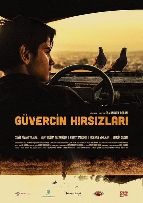 Güvercin Hırsızları izle