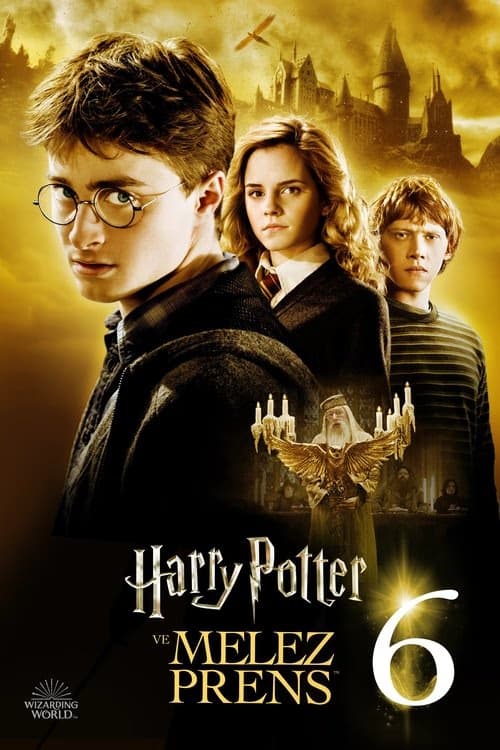 Harry Potter