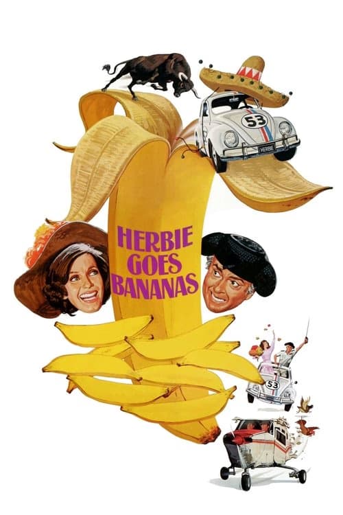 Herbie Muza Gidiyor izle