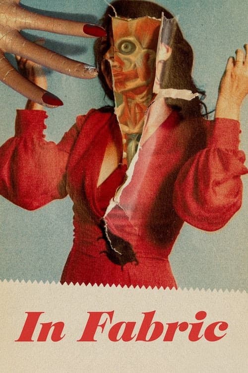 In Fabric izle
