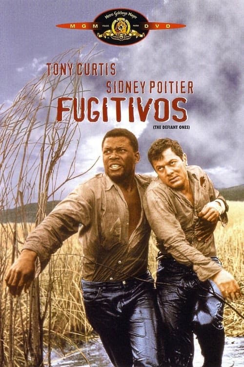 Kader Bağlayınca izle