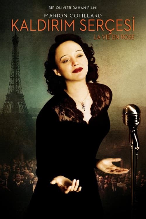 Kaldırım Serçesi izle